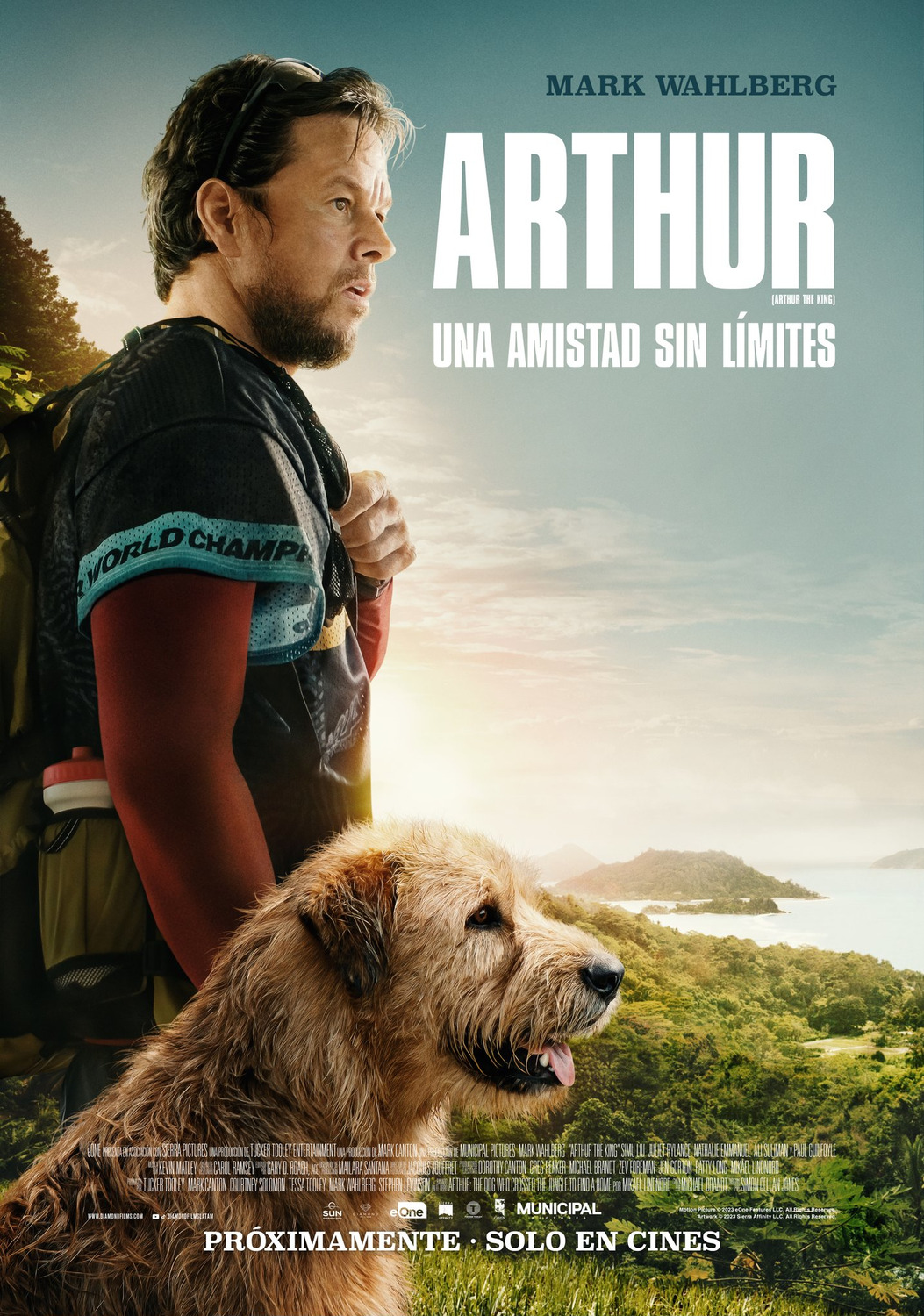 Arthur the king - poster